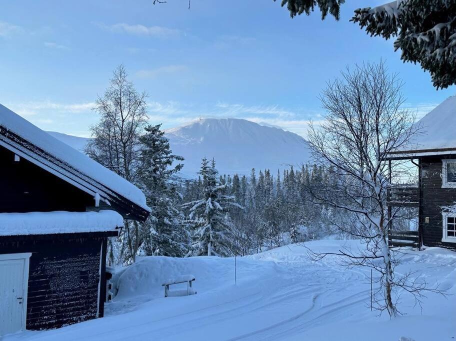 Ski Inn/Out - 4-Room Apartment W/3 Bedroom Gaustablikk Екстериор снимка